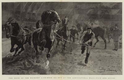 De show van de Hackney Stud-Book Society in de Agricultural Hall, tempo en actie door John Charlton