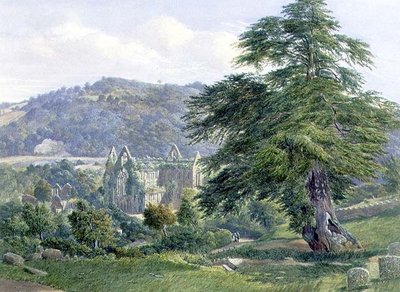 Tintern Abbey met de Wye Verderop door John Chase