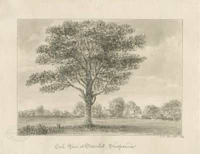 Boscobel - De Koninklijke Eik door John Chessell Buckler