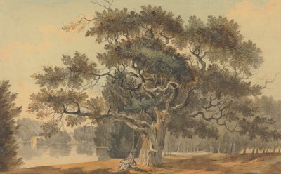 Blundeston bij Lowestoft, Sussex door John Claude Nattes
