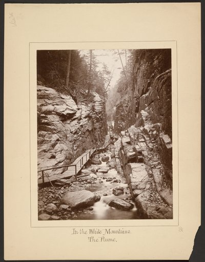 In de Witte Bergen/De Flume door John Coates Browne