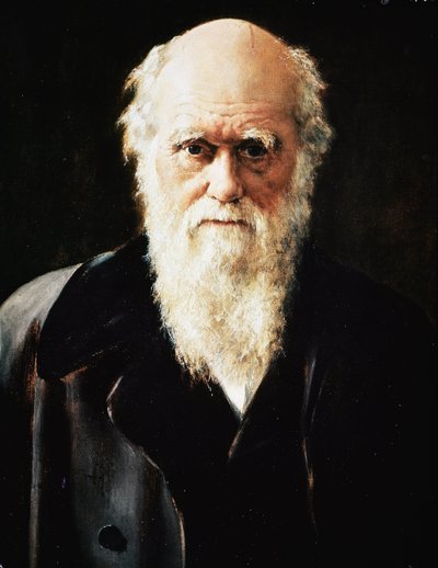 Portret van de Engelse natuuronderzoeker Charles Darwin (detail) door John Collier