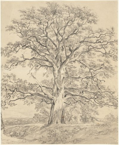 Een grote eik door John Constable