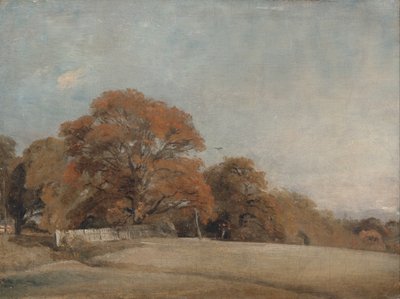 Een herfstlandschap in East Bergholt door John Constable