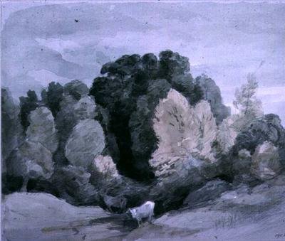 Vee bij de rand van een bos, c.1805 door John Constable