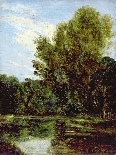 Hoek van Hampstead Ponds door John Constable