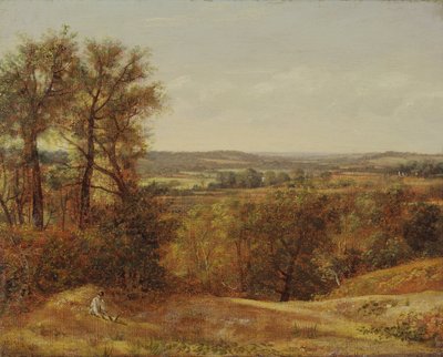 Dedham Vale door John Constable