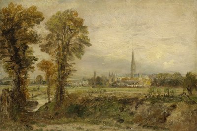 Verafgelegen Uitzicht op de Kathedraal van Salisbury, 1821 door John Constable