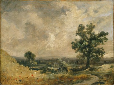 Engels landschap door John Constable