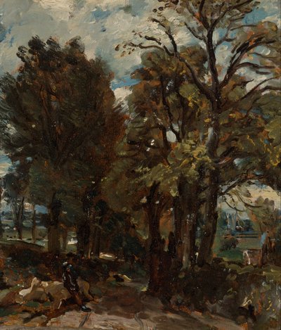 Fen Lane, Oost-Bergholt door John Constable
