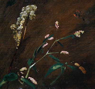 Bloemstudies: Persicaria en Moerasspirea door John Constable