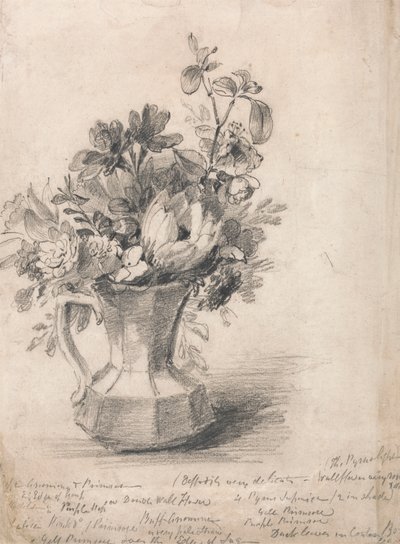 Bloemen in een kruik door John Constable