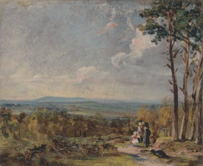 Hampstead Heath in de richting van Harrow door John Constable