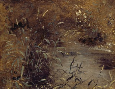 Riet bij een Poel door John Constable
