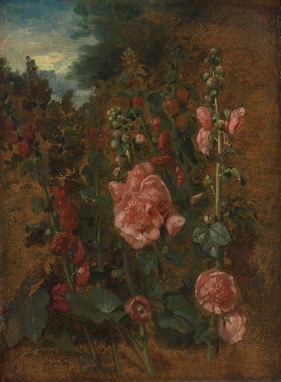 Studie van stokrozen door John Constable
