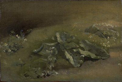 Studie van een klis, ca. 1810-14 of ca. 1828 door John Constable