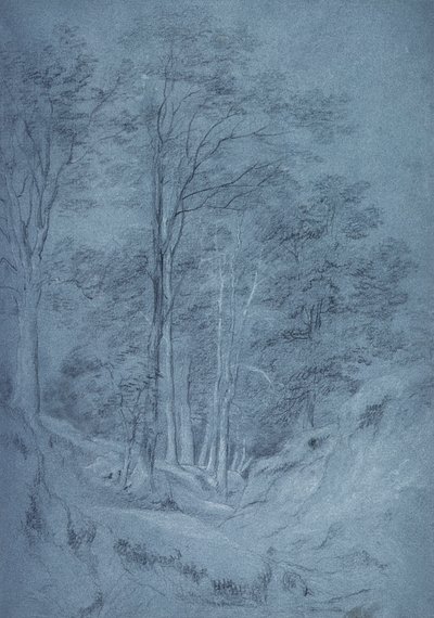 Studie van essen en andere bomen door John Constable