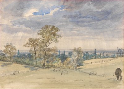 Suffolk Landschap door John Constable