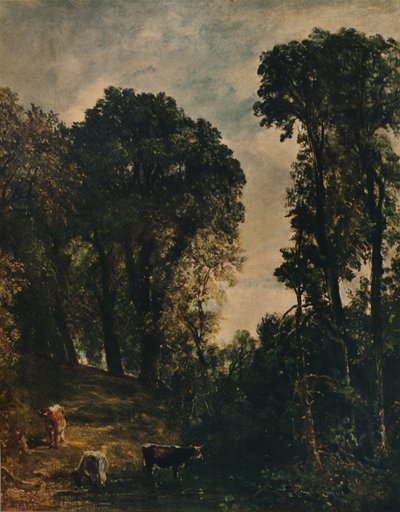 Bomen bij Hampstead Church, 1829, c1915 door John Constable