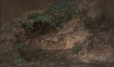 Onderbegroeiing door John Constable