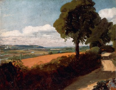 Uitzicht vanaf een weg naar East Bergholt door John Constable