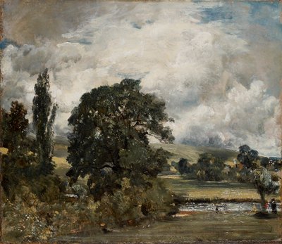 Waterweiden bij Salisbury door John Constable