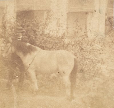 [Man en paard, Government House, Allahabad], 1858 door John Constantine Stanley