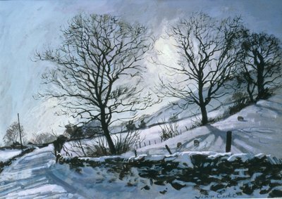 Wintermiddag in Dentdale door John Cooke