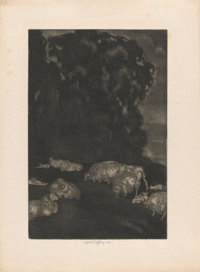 Schapen in de schemering door John Copley