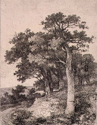 Bij Colney, uitgegeven door J. & W. Freeman door John Crome