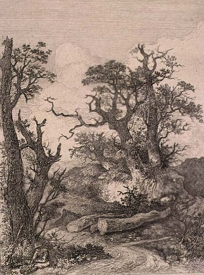 Bij Marlingford, uitgegeven door J. & W. Freeman door John Crome