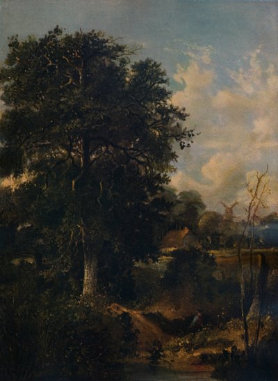 Landschap door John Crome