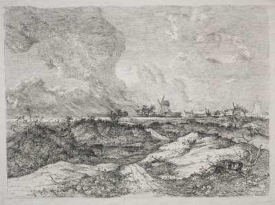 Mousehold Heath door John Crome