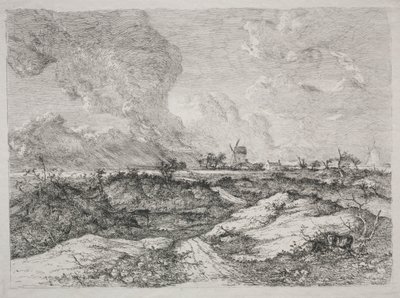 Mousehold Heath, c. 1810-13 door John Crome