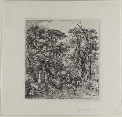 Wegscène, Heathersett door John Crome