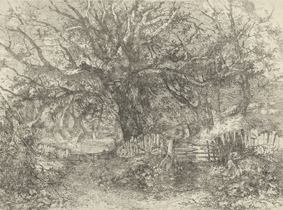 Wegscène, Trowse Hall, 1813 door John Crome