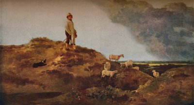 Uitzicht op Mousehold Heath, nabij Norwich door John Crome