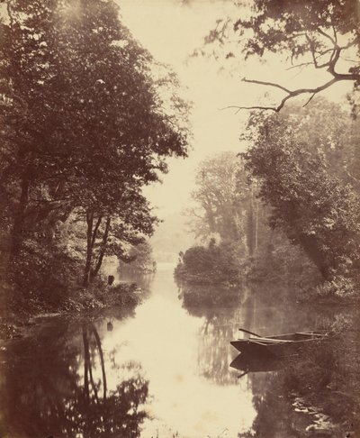 Een zomerse avond, Penllergare door John Dillwyn Llewelyn