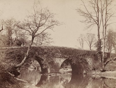 De Landelijke Brug Staplylton Brug, Bristol door John Dillwyn Llewelyn