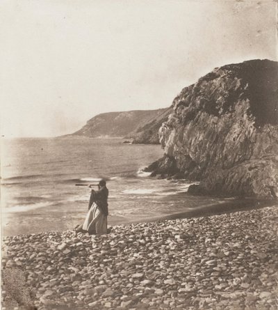Winden & golven, 1853-56 door John Dillwyn Llewelyn