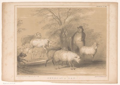 Spotprent met Britse schapen door John Doyle