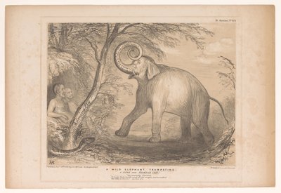 Spotprent met Lord Ellenborough als een wilde olifant door John Doyle