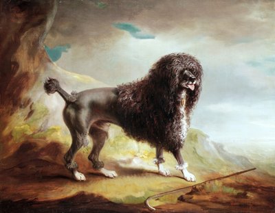 Een geknipte waterspaniël door John E. Ferneley
