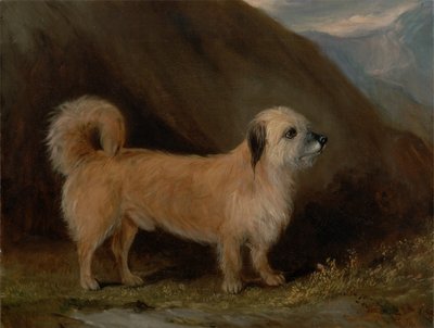 Een Dandie Dinmont Terrier door John E. Ferneley