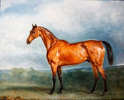 Brin-y-a-Pin in een paddock door John E. Ferneley