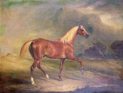 Kastanjebruine Arabische hengst door John E. Ferneley