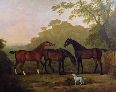 Jagers op gras door John E. Ferneley