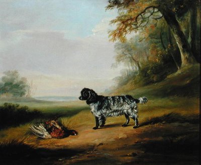 Landschap met een Hond door John E. Ferneley