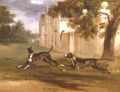De twee Bull Terriers van de Graaf van Brownlow, 