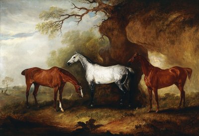 Drie jagers van Robert Myddelton-Biddulph door John E. Ferneley